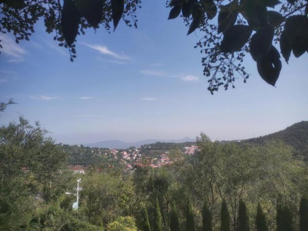 無功而返的一天 無功而返的一天