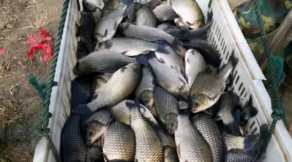 緩解腰腿疼，光靠藥物也不行，這兩個食療法你掌握了嗎