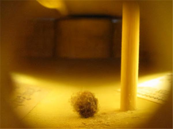 這年頭連灰都有人當寶貝收集！現代人類的收藏愛好我已經看不懂了