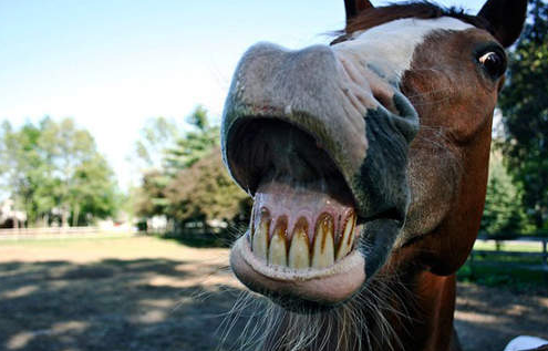 一大笑就破功！網友分享對“白馬王子”幻想毀滅瞬間