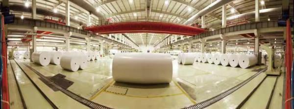 晨鳴紙業：前三季度盈利近22億元 為五年來業績最佳