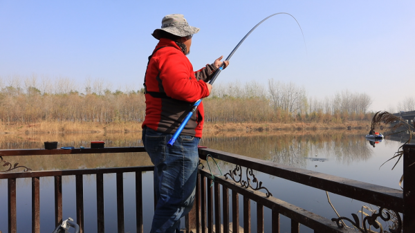 冬至前後,魚為什麼難釣了?此事無關天氣,皆因水底環境變了 冬至前後,魚為什麼難釣了?此事無關天氣,皆因水底環境變了