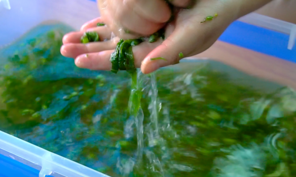 下班晚餐吃什麼？一週食譜已備好，營養均衡又下飯，到家照做就行