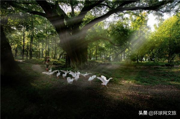 福建霞浦楊家溪：詩中的歸園田居