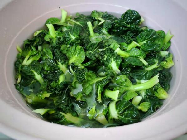 春天多吃這菜,清肝火鎮靜安神,一斤才2塊,中老年人群要多吃 春天多吃這菜,清肝火鎮靜安神,一斤才2塊,中老年人群要多吃