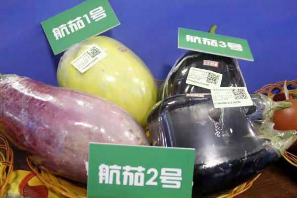 你見過“巨無霸”南瓜嗎？被送上太空的種子，會發生什麼變化？