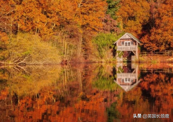 你還記得深秋英國的樣子嗎?若你還在,與你共享 你還記得深秋英國的樣子嗎?若你還在,與你共享