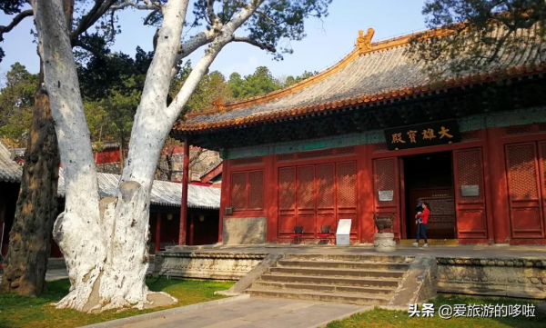 看展喝咖啡、賞壁畫、聽古樂…這座城市的寺廟也太厲害了吧