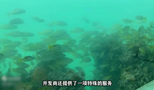 將臥室蓋在海底，每天看著魚群入睡，迪拜土豪的海洋別墅