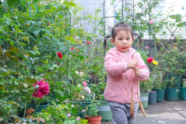 （2019）園丁獎露臺組《003號》一卷花薔 沉澱的時光