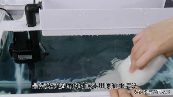 水草缸水體渾濁？原因在這。魚缸造景入門十五：水體渾濁原因