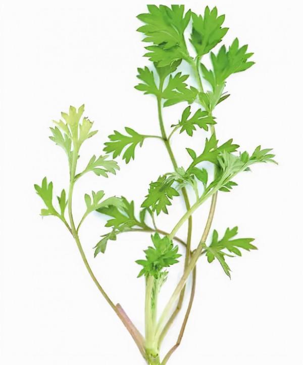 腳後跟開裂只是面板乾燥這麼簡單嗎？