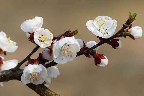 熬不下去的時候，請記住三句話