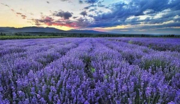 出國有什麼了不起?你來過新疆嗎? 出國有什麼了不起?你來過新疆嗎?