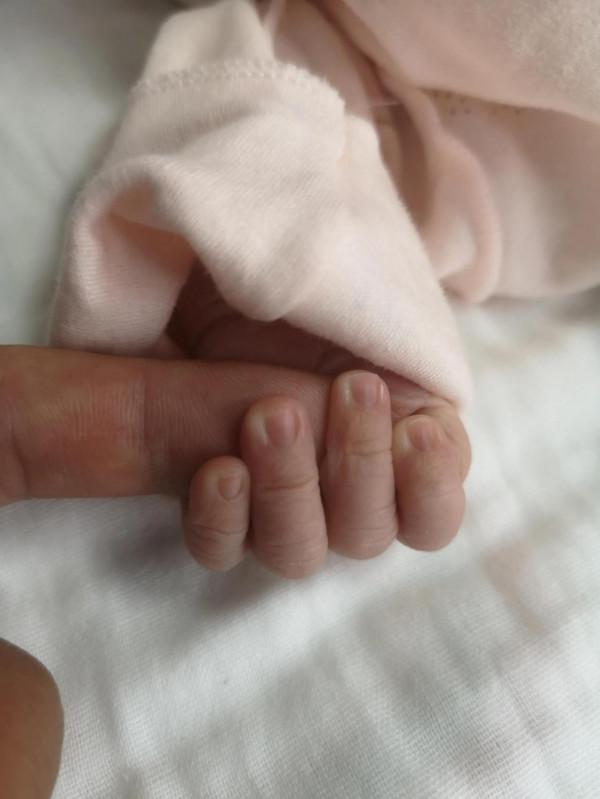 我的寶寶名字由來