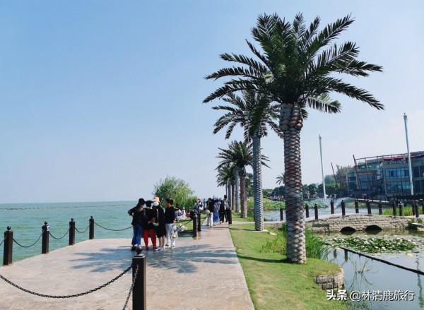 太湖私藏的高顏值小三亞：藍天碧水似海邊，免費且公交直達