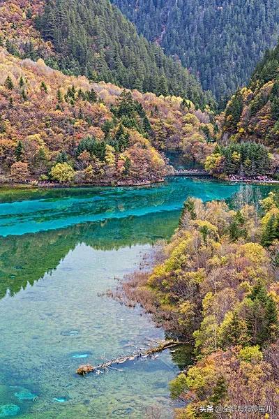 分享——令人迷幻的九寨溝
