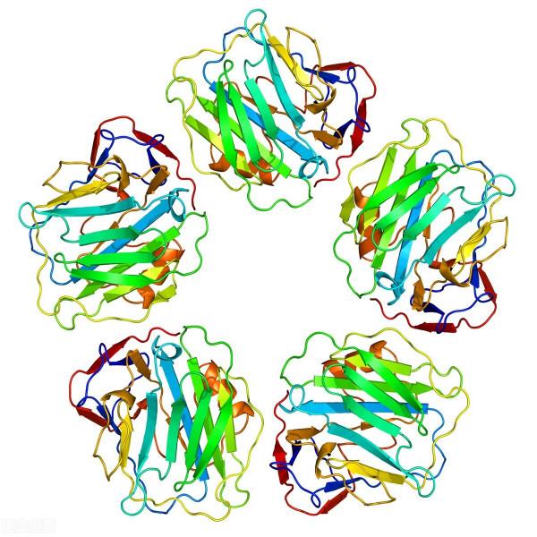 看到檢查多就懷疑過度醫療?提醒類風溼患者:這些檢查有必要 看到檢查多就懷疑過度醫療?提醒類風溼患者:這些檢查有必要