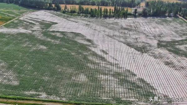 獨庫公路遊古城！新疆自駕攻略（下）