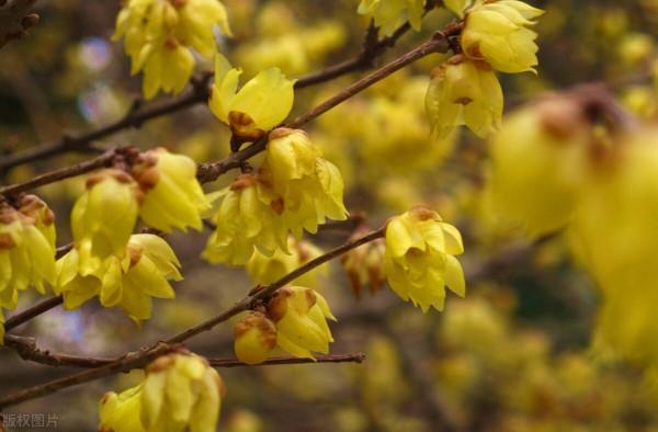 值得你深交的人，才會這樣回覆你的訊息，若遇到，就應該珍惜