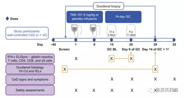 新藥巡禮：隱藏在冰山下的免疫疾病與創新奈米微球療法TAK-101