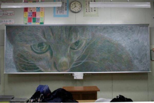 88個難得一見的照片，大象岩石，被章魚攻擊的海豚，飛行員眼鏡