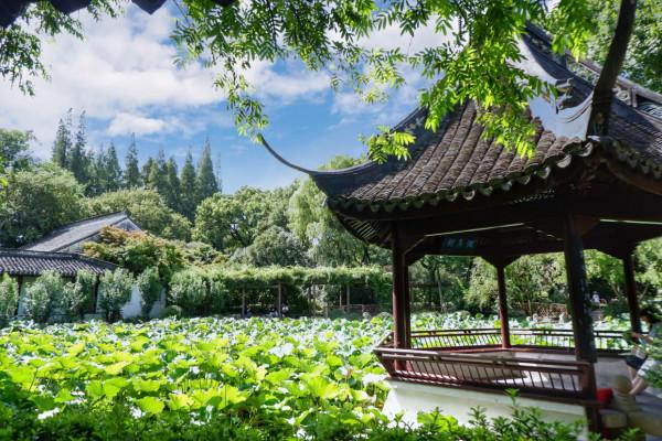 這裡被稱為“上海之根”，也是上海唯一的山區，有6000多年曆史