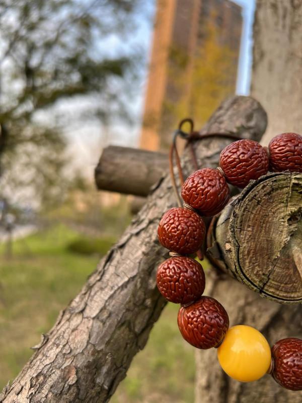 桃核玩這個樣子是不是可以畢業了 桃核玩這個樣子是不是可以畢業了