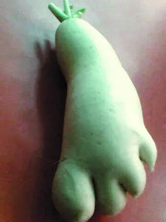 奇花異果有限公司年會（近百位奇花異果參加了本次年會）