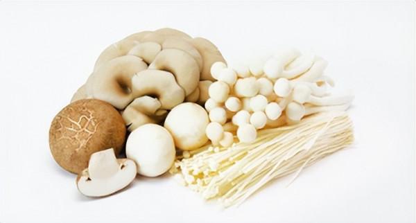 居家期間如何科學囤菜?聽聽哈醫大一院臨床營養專家呂和怎麼說 居家期間如何科學囤菜?聽聽哈醫大一院臨床營養專家呂和怎麼說