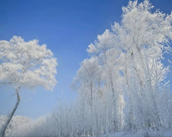 美到不像人間！憑實力驚豔外媒，最夢幻的雪域，旅行者此生必去