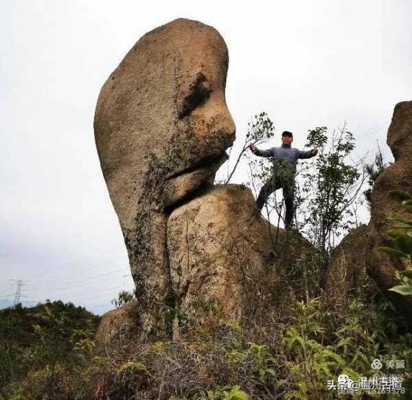 大羅山有處“二師兄”奇石，惟妙惟肖，你可找到過？