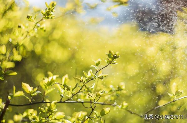 美股大漲近1%,A股明天將暴力反彈嗎?(附策略) 美股大漲近1%,A股明天將暴力反彈嗎?(附策略)