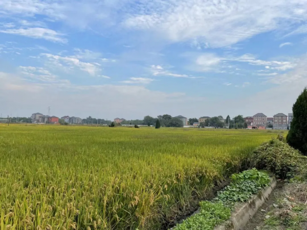 當前城鎮化率有多高？你的城市還有多久的上升期？|房叔說No.389