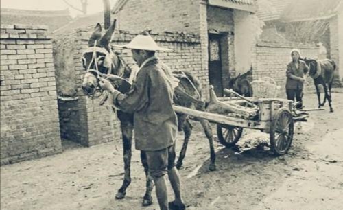 1986年，江西73歲老婦參觀烈士陵園，發現墓碑刻著自己名字，為何