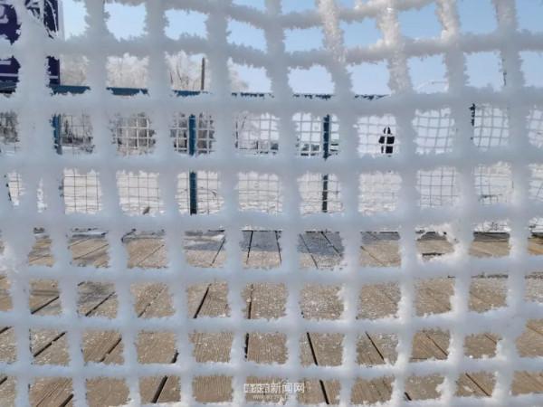 霧裡看凇｜冰城今日限定美景