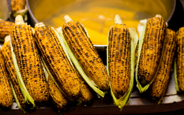 東北農村大媽賣玉米成功逆襲，帶動1000餘人就業，年收入過千萬