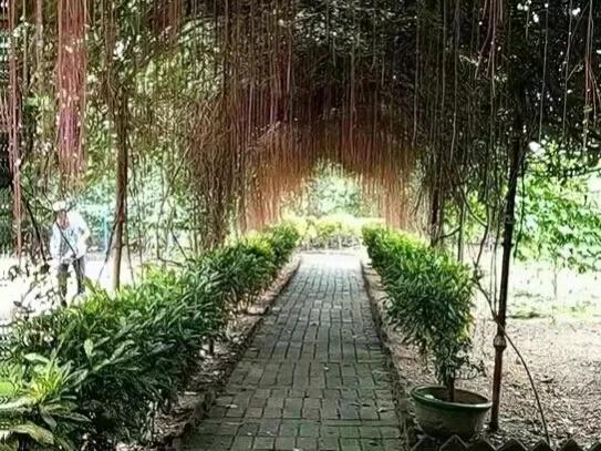 「蘭心書院」海南博鰲生態小院