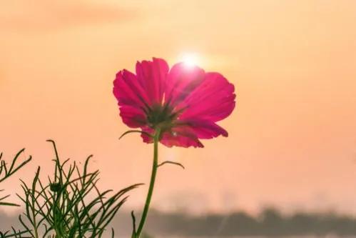 92歲老人的感言：降低慾望，才是長壽和快樂的秘訣