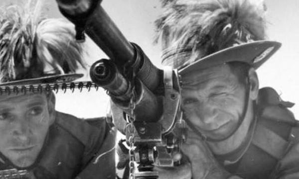 鴯鶓戰爭：1932年，帶機槍的“澳大利亞皇家軍團”，被一群鳥擊敗