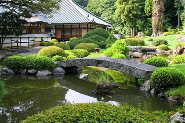 為什麼不建議在院子裡種整形植物