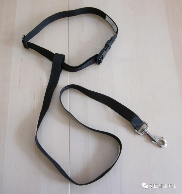 人下車了狗還在車上!她拴著狗繩,被行駛的列車拖行致死 人下車了狗還在車上!她拴著狗繩,被行駛的列車拖行致死