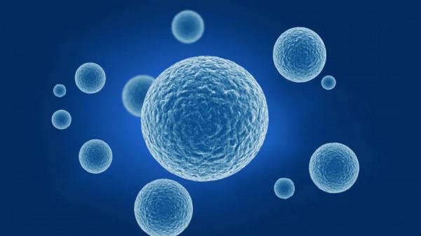 「Cell子刊」太空商業化？利用外太空推進幹細胞科學和醫學