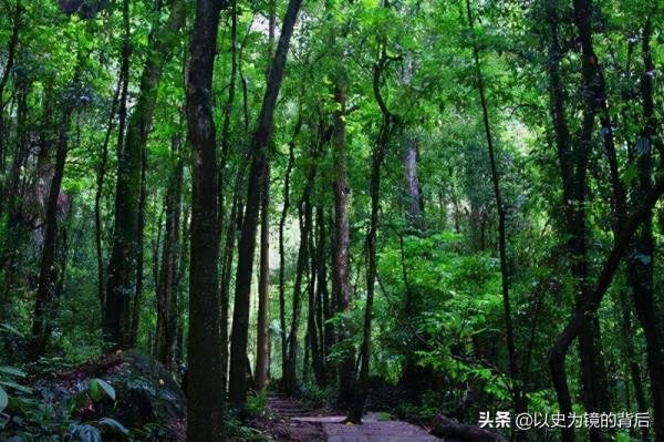 蜀漢為何不向其他方向發展，反而北上死磕曹魏，看完發現沒得選擇