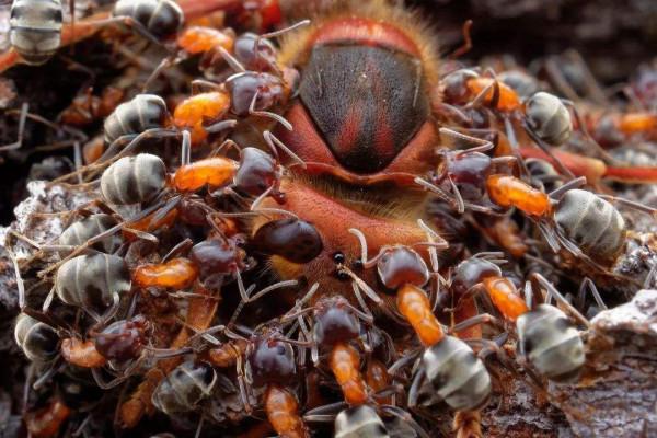 趣事:看看這幾種生物,你瞭解幾種 趣事:看看這幾種生物,你瞭解幾種