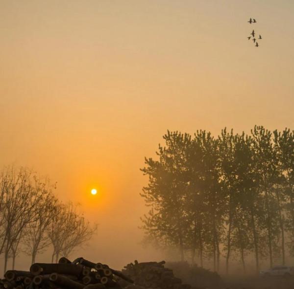 孩子，我不要求你出類拔萃，但請你凡事盡力而為