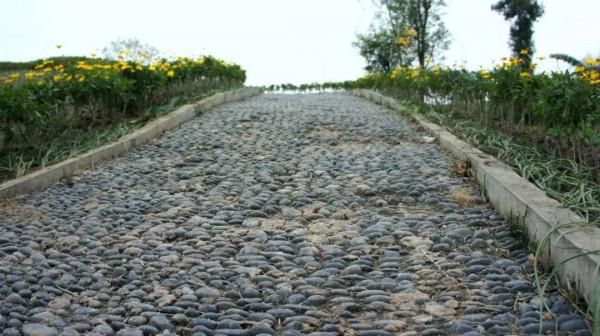 漂亮！蘆山旅遊環線打造初見成效