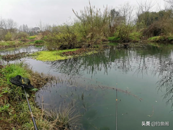 冬季還可以夜釣嗎?牢記4個小知識,天氣冷照樣釣大板鯽 冬季還可以夜釣嗎?牢記4個小知識,天氣冷照樣釣大板鯽