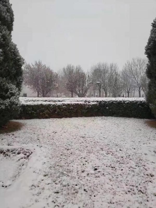 雪中練鞭杆，助力冰雪盛會