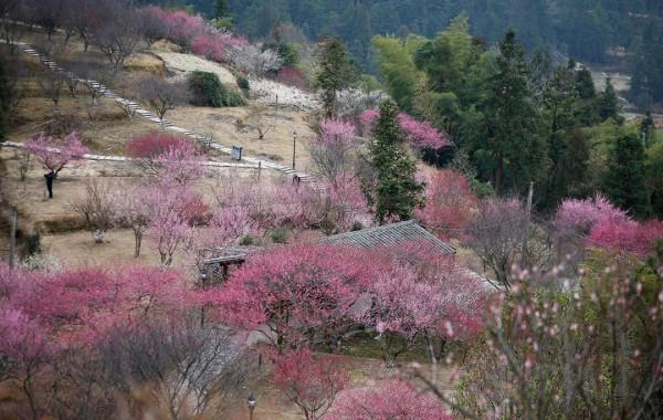 來一場國潮之旅，在&OpenCurlyDoubleQuote;嘉&rdquo;過虎年